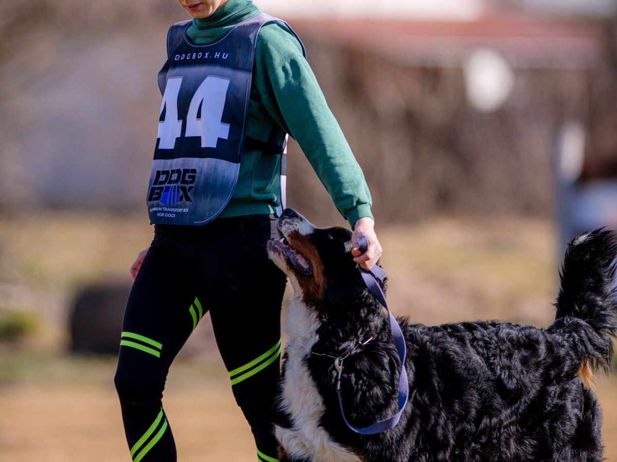 Fúria passed the IBGH1&nbsp;exam