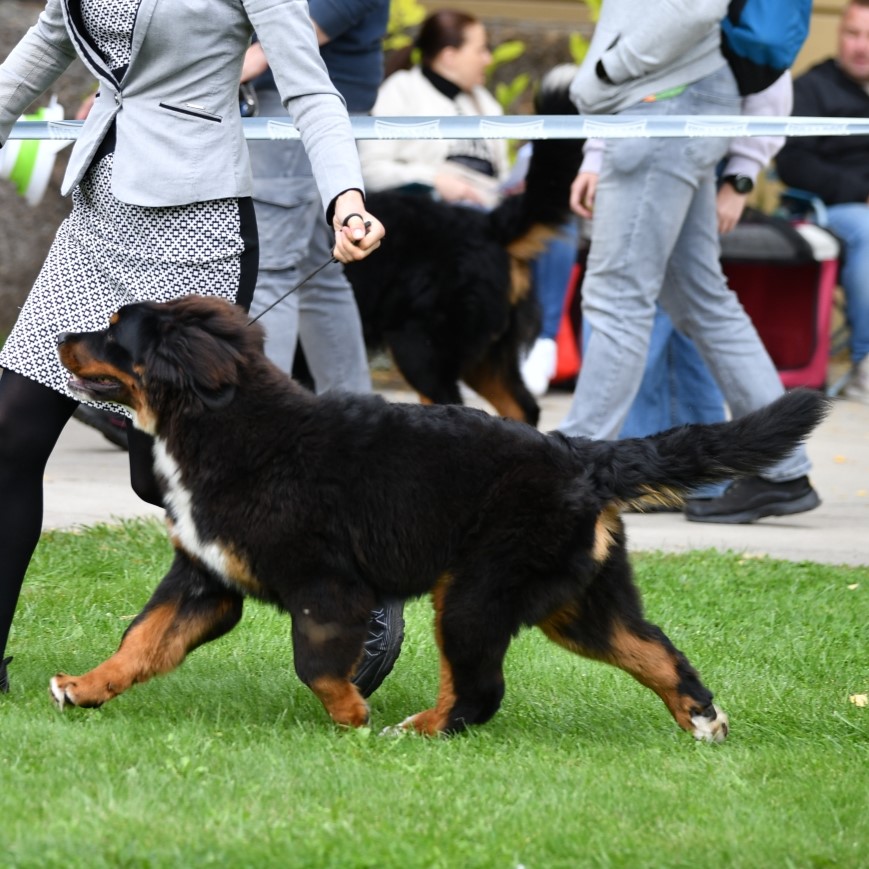 Slovakian speciality