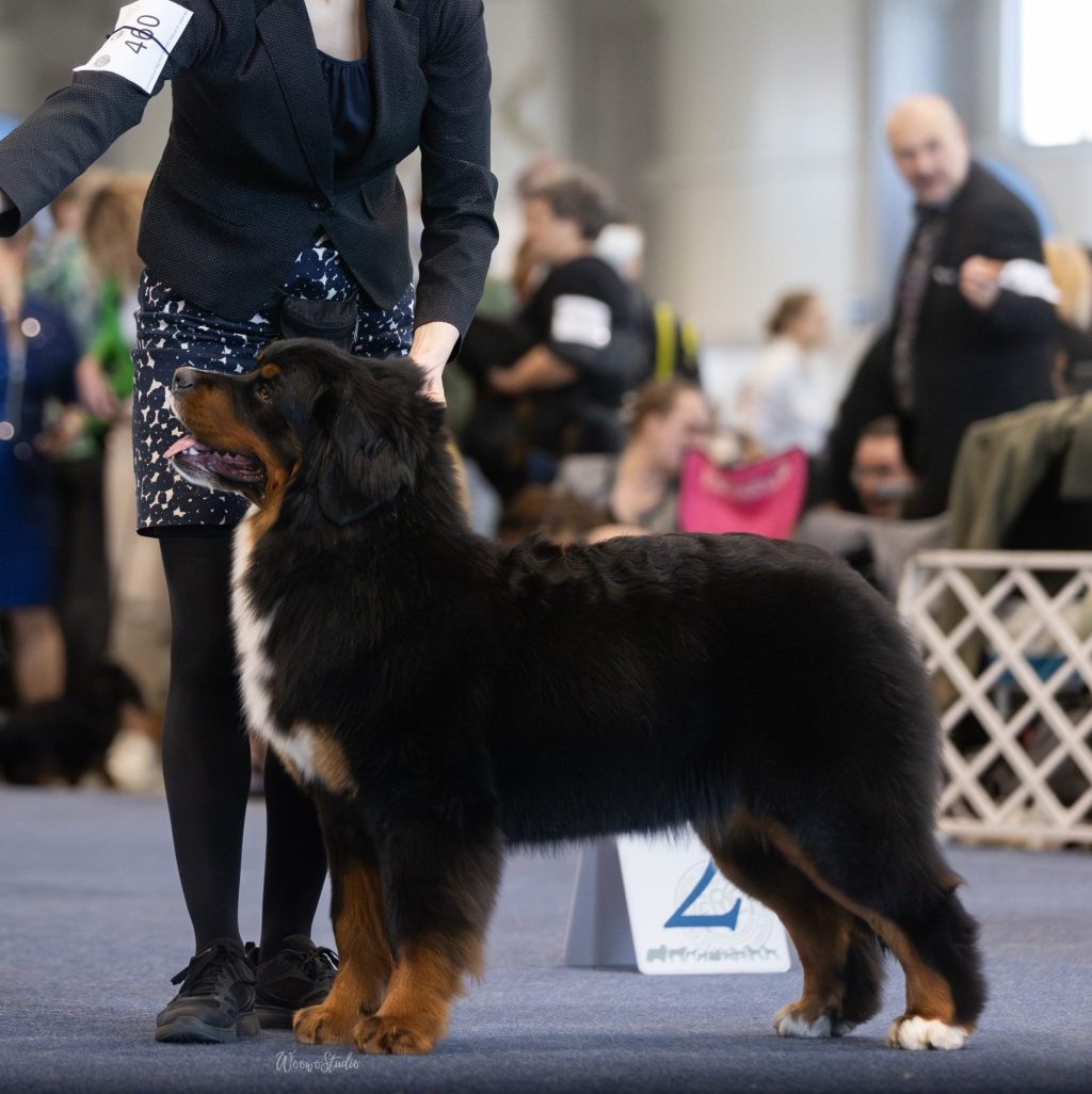 Bratislava CAC &&nbsp;CACIB