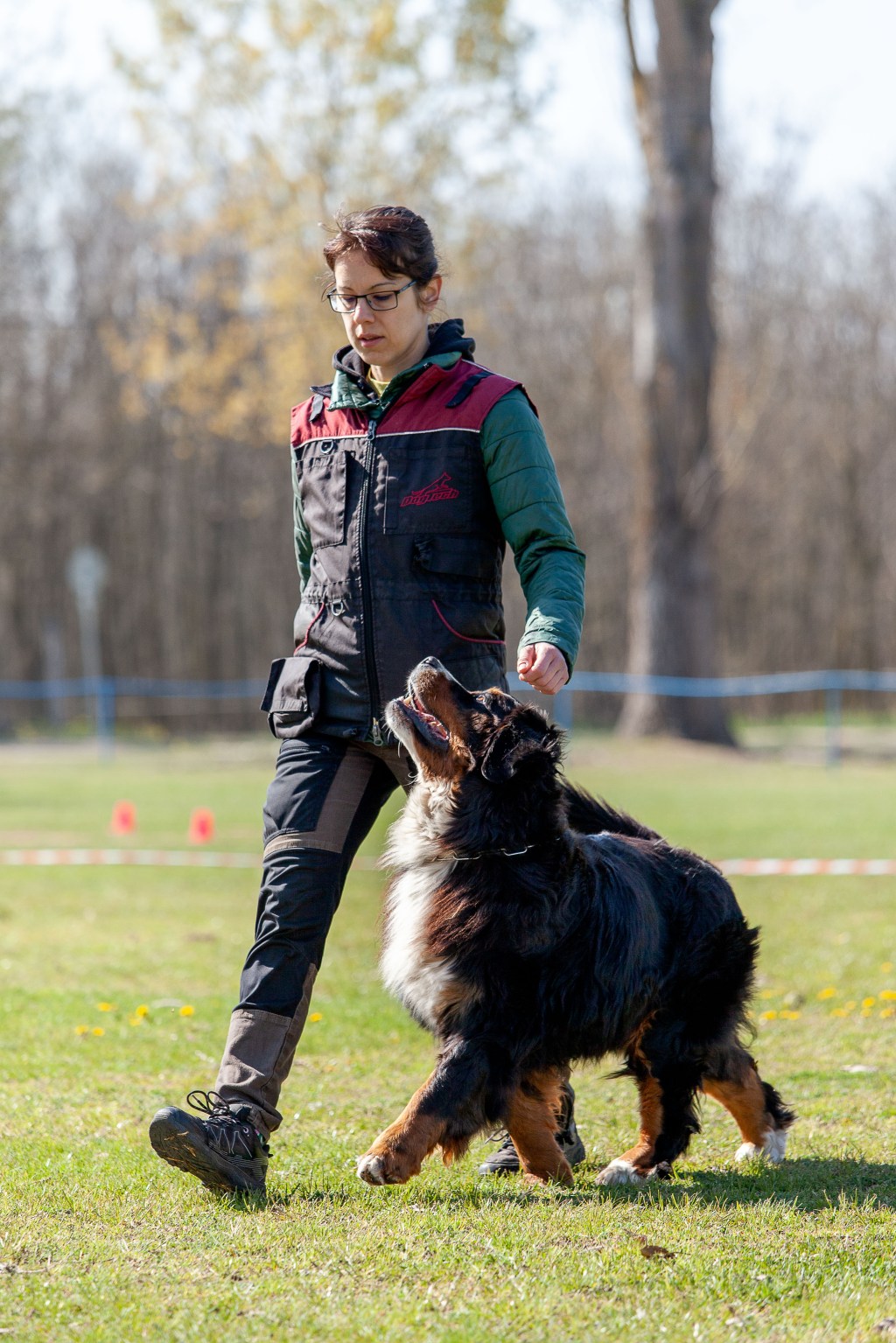 Tipli’s first obedience&nbsp;trial
